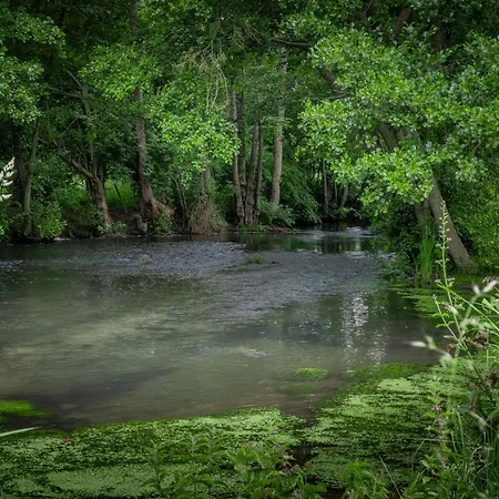 De L'ecrin De L'andelle - Un écrin De Nature Entre Rivière Et Forêt Hébergement de vacances