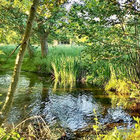 Holiday home De L'ecrin De L'andelle - Un Ecrin De Nature Entre Riviere Et Foret Morville-sur-Andelle