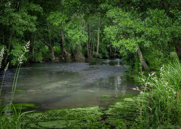 De L'ecrin De L'andelle - Un Ecrin De Nature Entre Riviere Et Foret Holiday home